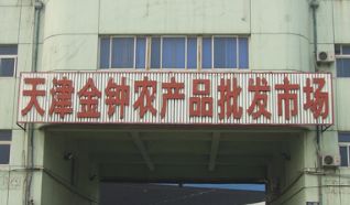 金钟蔬菜批发市场 详细介绍下天津金钟蔬菜批发市场怎么样