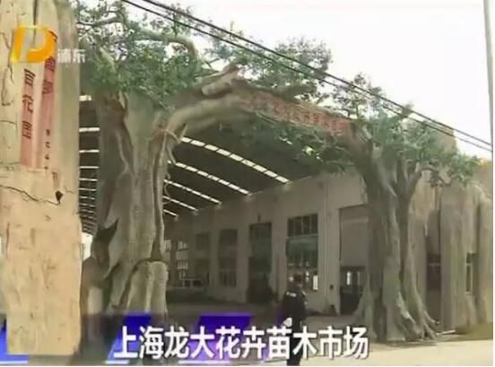 �Ϻ����󻨻���ľ�г���ԭ���Ż����г���ַ