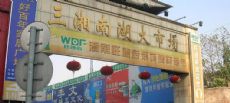 ��ɳ�����Ϻ����г�