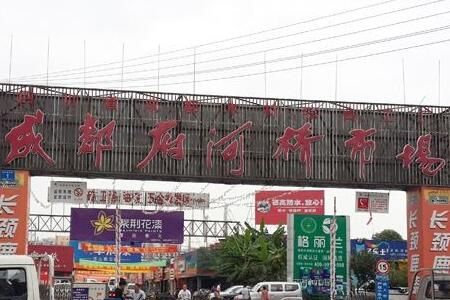 �ɶ��������г���Ǩ��������