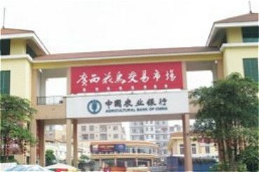 �����������г����������񡢹��潻����Ҫ����
