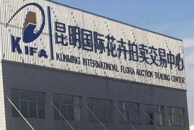 昆明国际花卉拍卖交易中心 亚洲最大的专业鲜切花拍卖市场:昆明国际花卉拍卖交易中心
