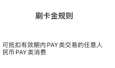 ˵˵pay��������ʲô��˼