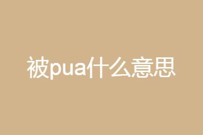 �㱻pua��ʲô��˼