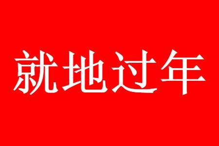 就地过年 2021各地就地过年补贴政策查看方法