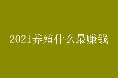 2021��ֳʲô��׬Ǯ��Ч���