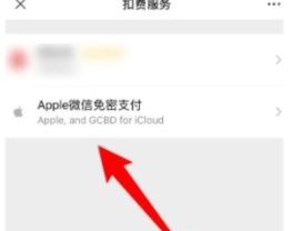 ios΢����Ǯ˵������ô����