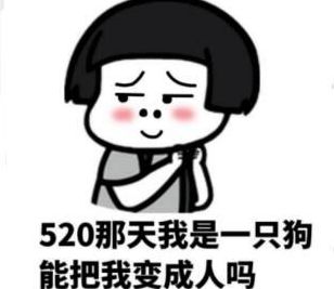 ����520���������ĸ�Ц˵˵ͼƬ��ȫ