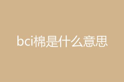 �򵥽�����bci����ʲô��˼