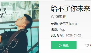 抖音 抖音我给你的爱不能再重来是什么歌