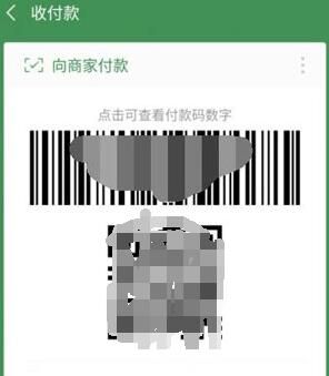 ΢��û������ô֧��