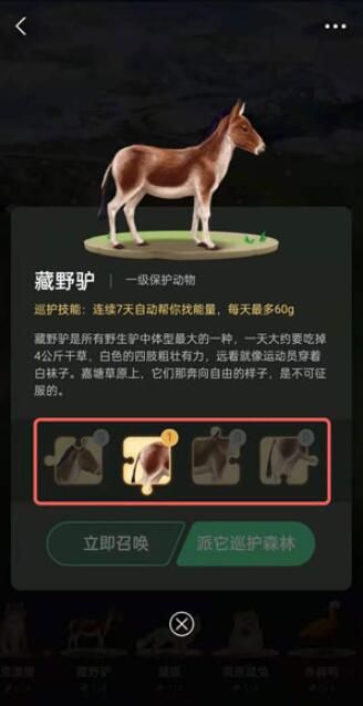 ����ɭ�ֱ�����Ѳ����ô�ٻ���������պ�������
