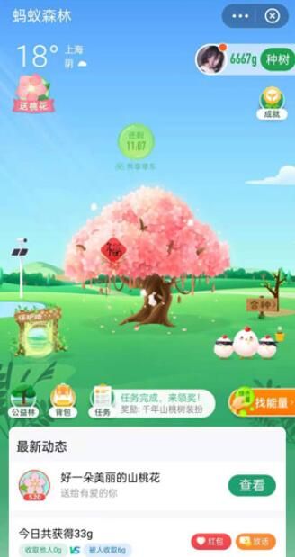 ����ɭ��520��ɫ����װ����ô���