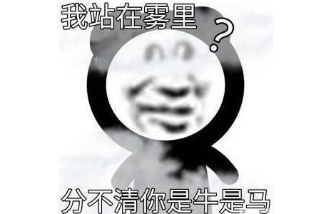 ţ����ʲô��? ������˼����������