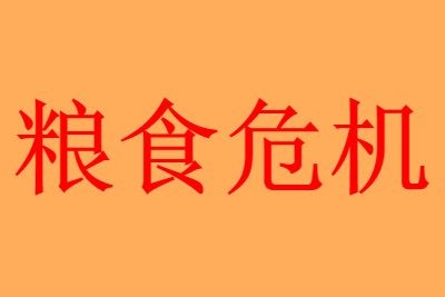 粮食 2022会爆发粮食危机吗