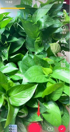 ������Ĳݸ���ɾ�˿����һ���