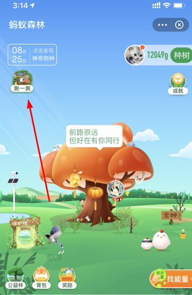 ֧����ɭ���˸�ϡ�жȲ������