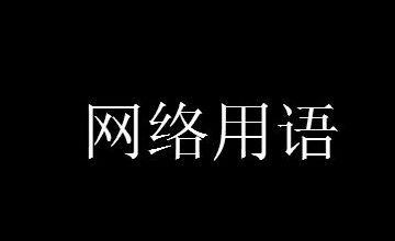 sxn��ʲô��˼