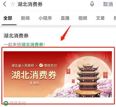 消费券 微信湖北消费券怎么领取