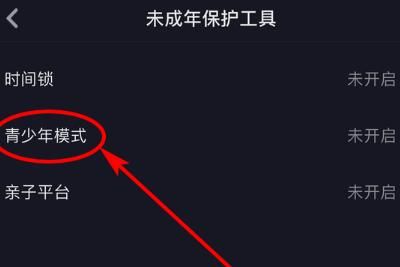 ����������ģʽ��ôǿ���˳�