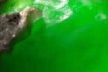 瑞丽翡翠市场 疫情之下瑞丽翡翠市场现状:翡翠涨价了吗