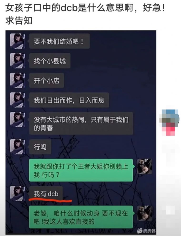 Ů����˵����dbc��ʲô��˼