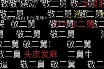 B站 “二舅治好了我的精神内耗”刷屏视频在哪看