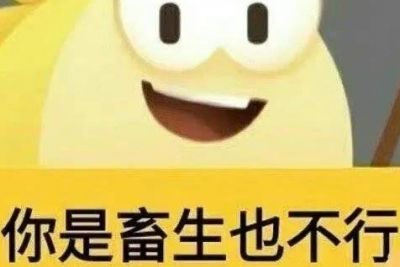 ��������Ҳ������ʲô��