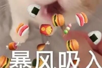 ���������jiojio��ʲô��˼��