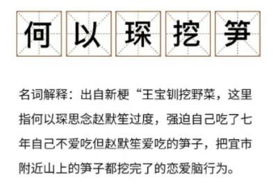 梗 何以琛挖笋是什么意思梗