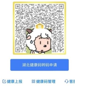΢�Ž����������人������