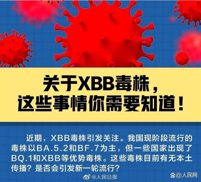 XBB���²������������������