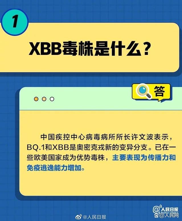 XBB���²������������������
