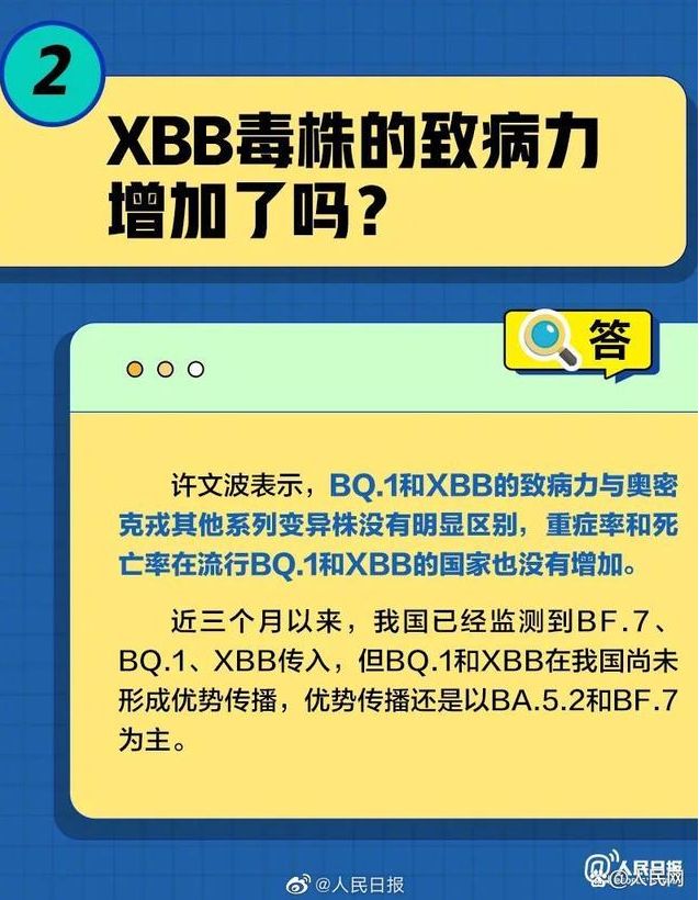 XBB���²������������������