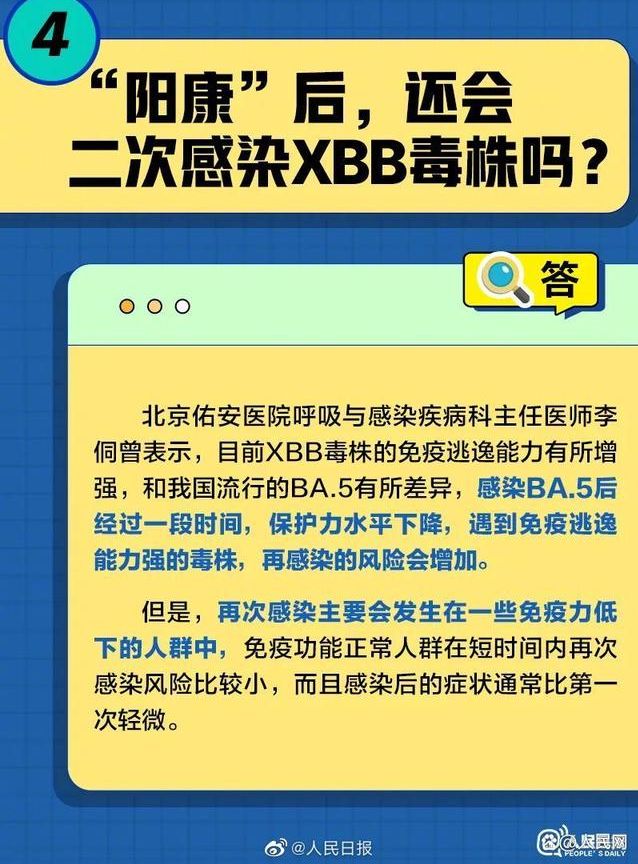 XBB���²������������������
