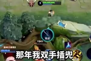 梗 双手插兜是谁的梗