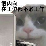 梗 很内向在工位都不敢工作表情包大全