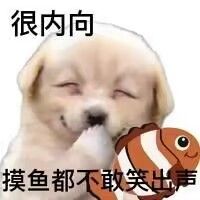 很内向在工位都不敢工作表情包大全 很内向在工位都不敢工作表情包大全