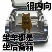 很内向在工位都不敢工作表情包大全 很内向在工位都不敢工作表情包大全