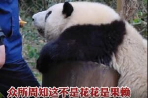 网络用语 这不是花花是果赖是什么意思