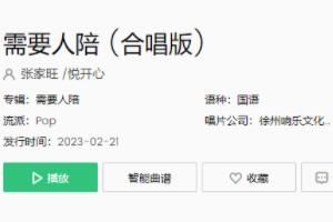 歌 一个我需要梦想需要方向需要眼泪是什么歌
