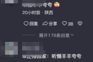 �����������ʲô��˼��