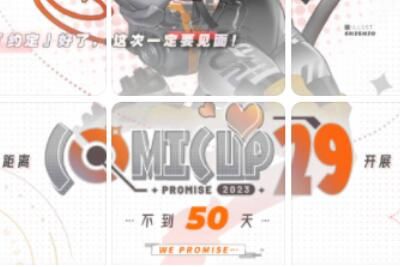 CP29 CP29是什么意思