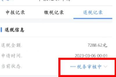 个税 税务审核中要多久才到国库