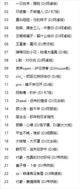 抖音歌曲 2023dj舞曲超劲爆歌曲大全