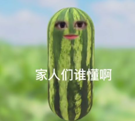 ������˭���������