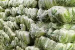 成都蔬菜批发市场 成都蔬菜批发市场哪里进货便宜