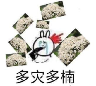ʯ骻��������ʲô��˼