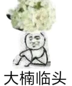 ʯ骻��������ʲô��˼