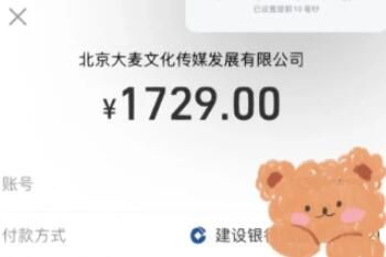 大麦 大麦网抢票什么时候才是锁票成功